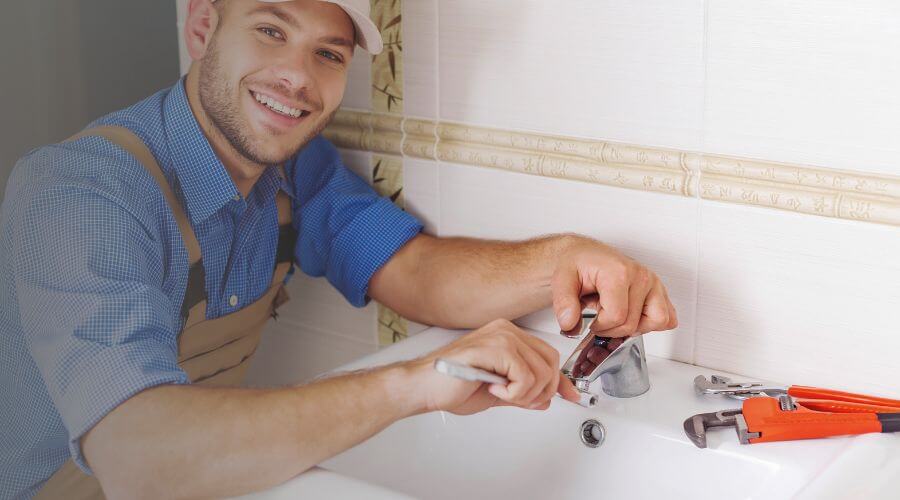 Professional Leak Detection Services services in Palisade, MN